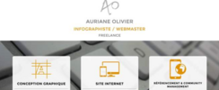 Aoart - Service infographiste/webmaster