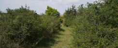 L’Espace Naturel Sensible Pelouse de Grand Vau