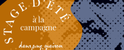 Scènes du roman & structures du récit