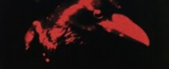 Joji - Solaris