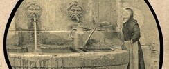 LES PUCES de LA VOULTE