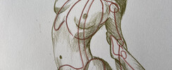 Dessin - l'anatomie en mouvement
