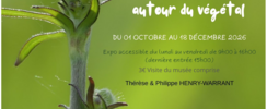 Vert toujours