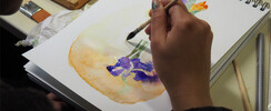 Atelier BIZART - COURS HEBDOMADAIRE D'AQUARELLE