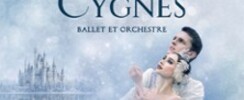 Le Lac des Cygnes - Ballet & Orchestre - Tournée 2027