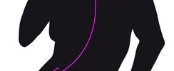 Priscamusic - Animation Mariage Coordination
