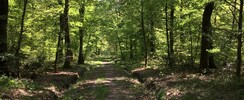 L’Espace Naturel Sensible : « Sentier de la Salamandre »