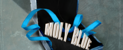 Moly Blue - Duo guitare voix Jazz&Soul