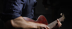 Louis Durdek - Concert de folk -