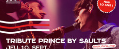 Tribute Prince by Saults + Les 10 ans de Sortie 13 !