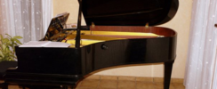 Cours de piano