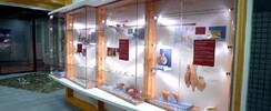 Collections Archéologiques de Girmou