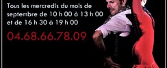 Flamenco A.ROMERO - Cours et Ateliers