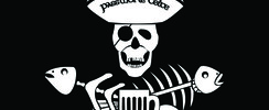 Pass'moi le Celte - groupe rock Celtique cherche Booking, tourneur