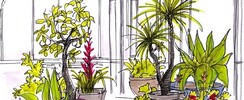 Terre & Feu Maisons-Laffitte  - Formation Intensive Dessin 