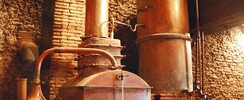Domaine Départemental d'Ognoas