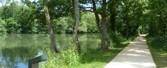 Bords du Loiret