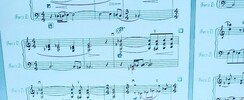Laurence Morelle - copiste/graveuse musicale