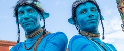 Échassiers acrobatiques - LES AVATARS ET LEUR PARADE