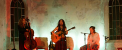 By The Birch - trio acoustique aux racines folk