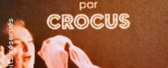 Devos par Crocus