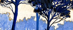 Timotei - Cours de Peinture - Dessin