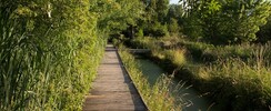 Le Grand Jardin du Théâtre des Minuits