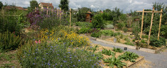 Conservatoire des Légumes Anciens du Béarn