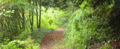 Arboretum de l'Institut Charles Quentin de Pierrefonds