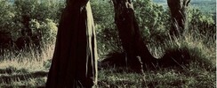 Ensemble Intégral  - L'OBLIFAB, les Métamorphoses de l'arbre 