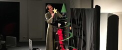 Les Doux Sauvages  - Haziel fête Noël !