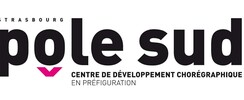 Pôle sud