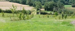 Les jardins de Sarzay