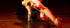 LE PIN - Club de danses