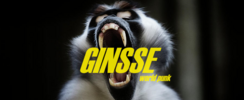 GINSSE - Duo World-Punk