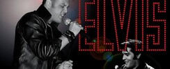 THE STK BAND - Concert Pro (Hommage à Elvis Presley)