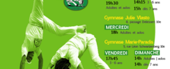 Cours Capoeira Angola - Mestre Faísca
