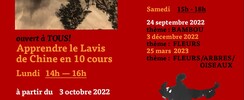 Zhycheng Wu - Le lavis de Chine en 10 leçons