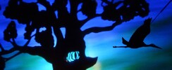 L'envolée de Shemza