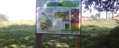 Les Communaux de Rosnay