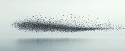 Murmuration* Stage d’improvisation voix et corps