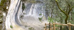 Abri Cro-Magnon
