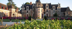 Château de Jallanges