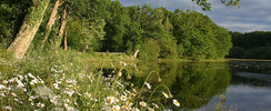 L'Etang de la Benette