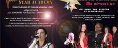 Association la vie en chansons - Spectacle, tribute
