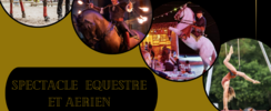 Association Fire Horse - Spectacle équestre, aérien
