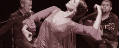 cours et stages de flamenco
