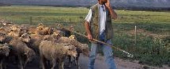 Maison de la Transhumance