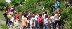 Le Jardin buissonnier