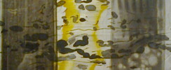 Evelyne Rivière - Artiste plasticienne